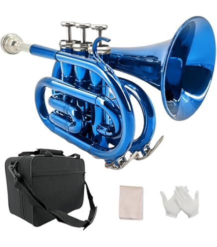 トランペット 真鍮製 3バルブ マウスピース付き 61xeka7euIL._AC_UF350,